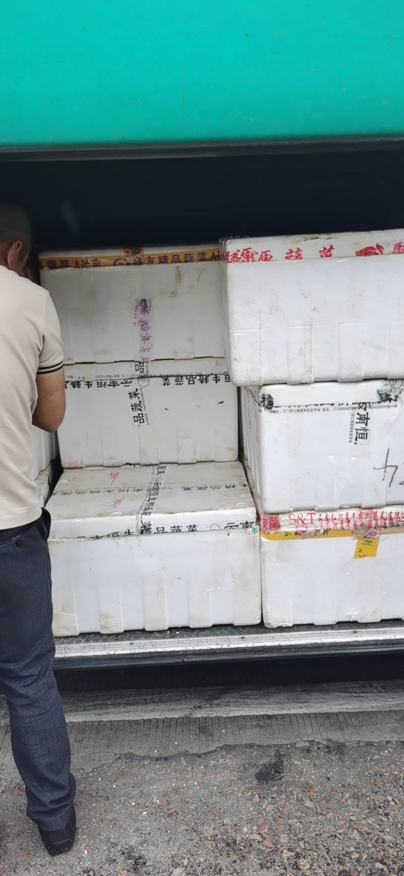 鲟鱼苗，支持全国发货，基地直供，价格实惠