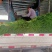 邳州精品小红帽，即将大量上市，适合每一个市场需求