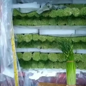 蔬菜专业代办，以诚为本，上货准快，有需要采购的老板欢迎