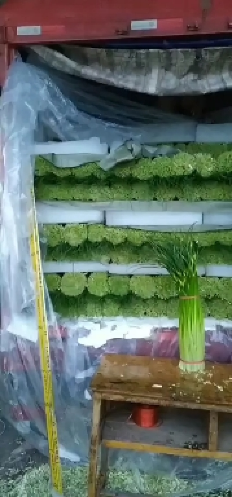 蔬菜专业代办，以诚为本，上货准快，有需要采购的老板欢迎
