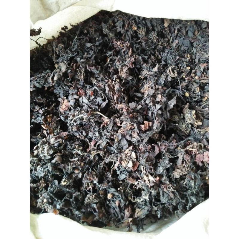 中药材海藻粉落首海萝乌菜海带花面膜粉包邮