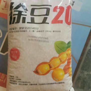 徐豆21.徐豆20大豆种子，高产抗倒伏抗病大豆种子。