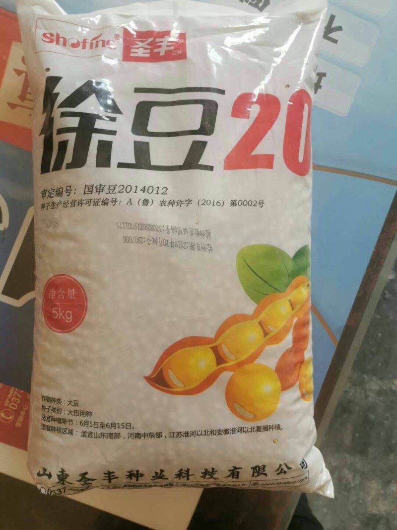 徐豆21.徐豆20大豆种子，高产抗倒伏抗病大豆种子。