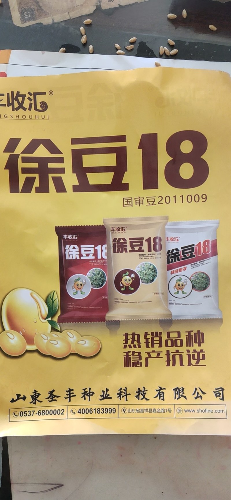 徐豆21.徐豆20大豆种子，高产抗倒伏抗病大豆种子。