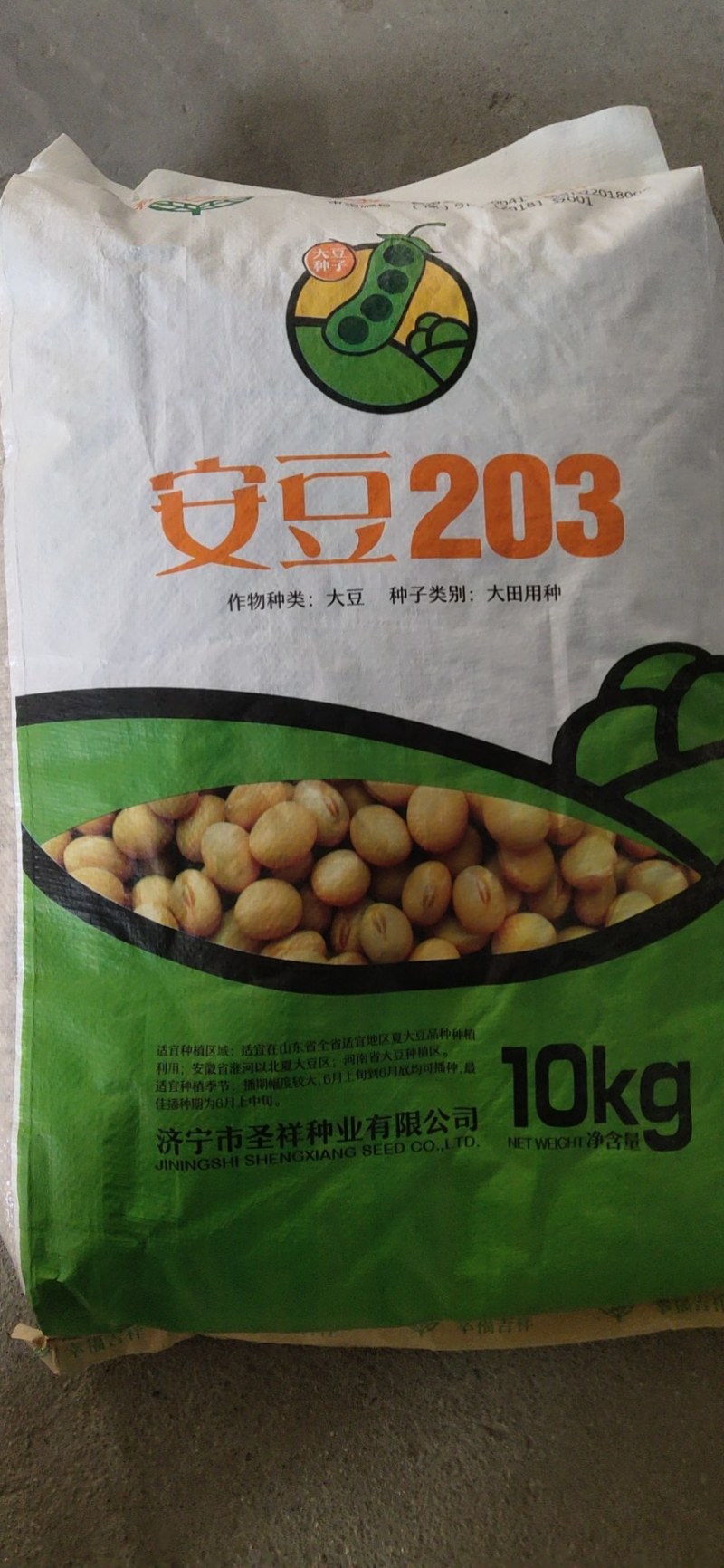 徐豆21.徐豆20大豆种子，高产抗倒伏抗病大豆种子。