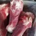 前腿骨后腿骨食堂餐厅熬汤大骨头带肉率高筒骨多肉棒骨后棒骨