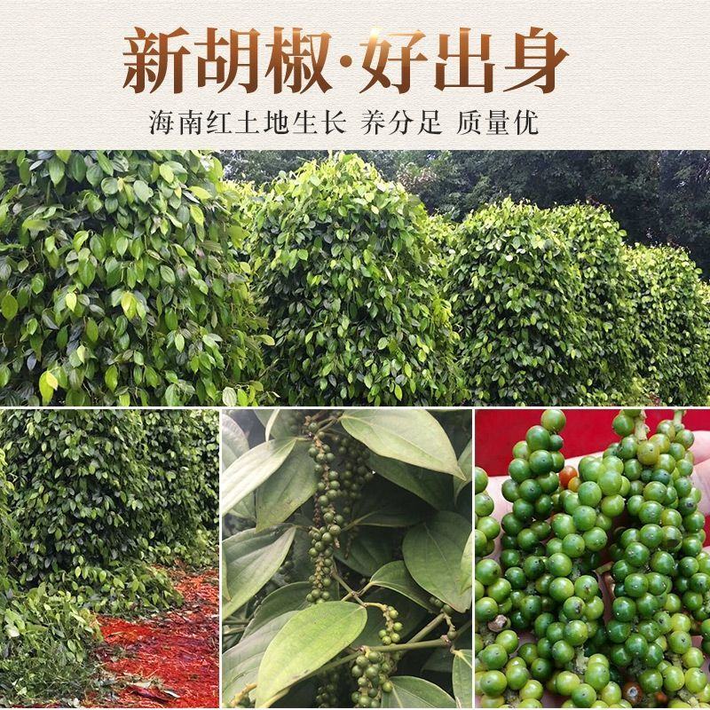 黑胡椒粒研磨器黑胡椒粉家用牛排西餐调味料海南黑胡椒