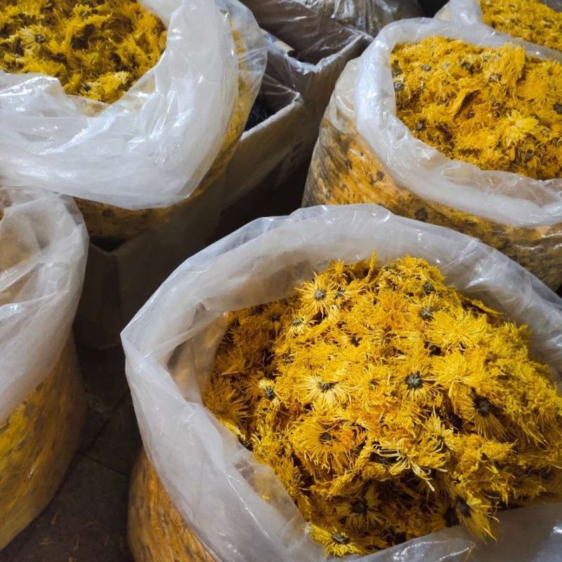 金丝皇菊，怕上火就喝它，一朵一杯，菊花茶，各种菊花茶