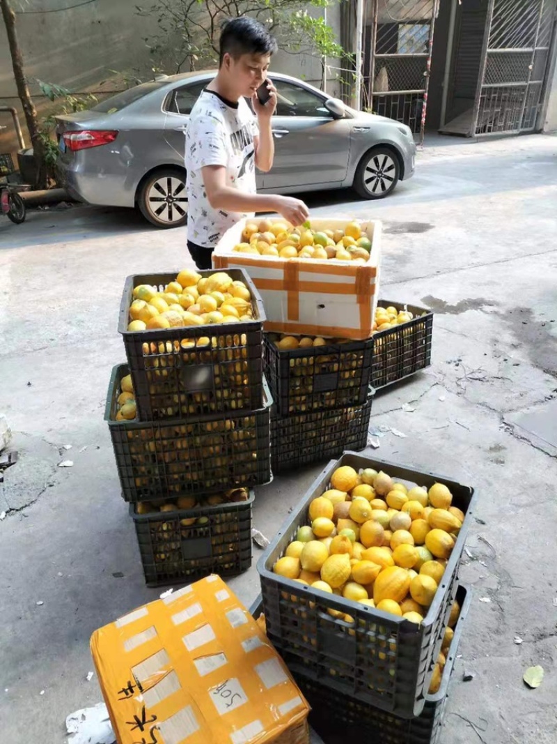 有没有哪位老板需要的每天可以大量的摘需要联系