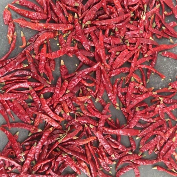 干辣椒魔鬼椒超辣魔鬼辣椒干变态辣辣椒粉辣椒面正宗印度魔鬼