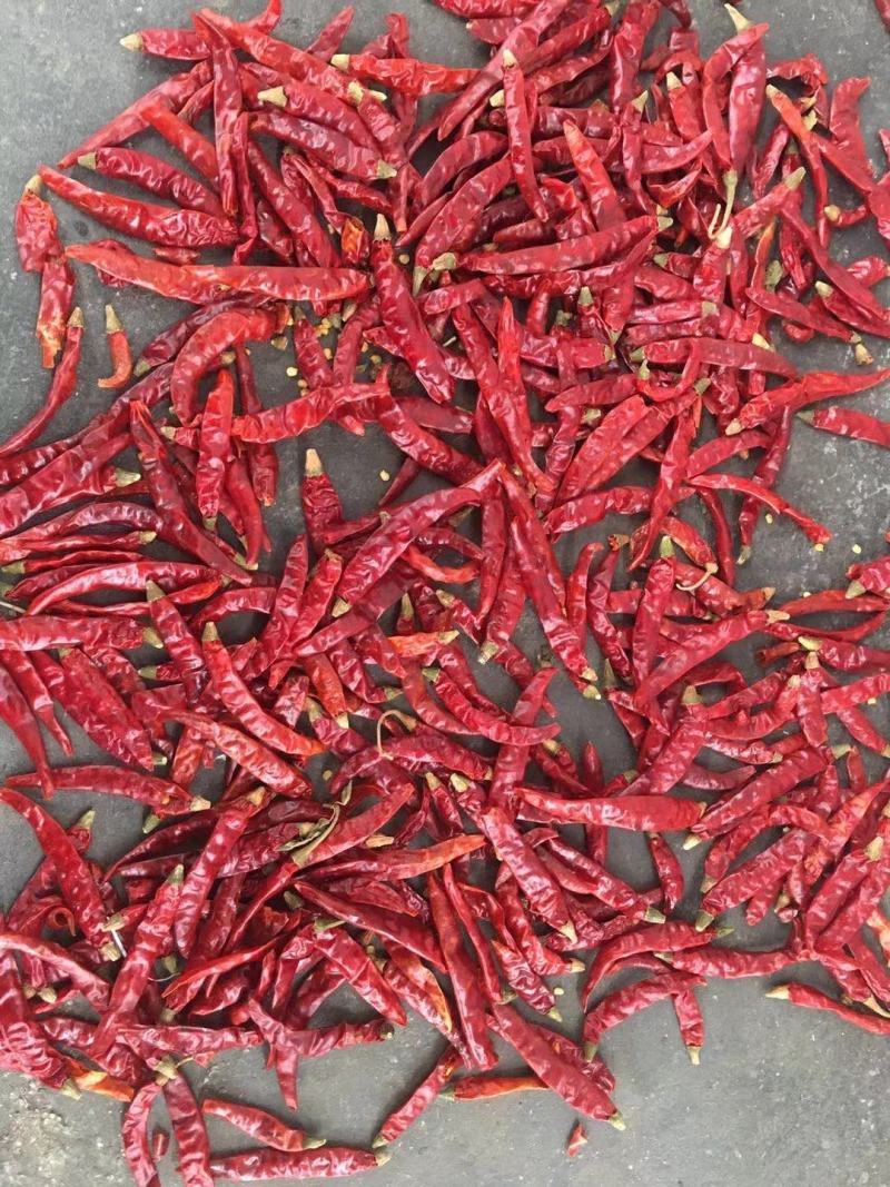 干辣椒魔鬼椒超辣魔鬼辣椒干变态辣辣椒粉辣椒面正宗印度魔鬼