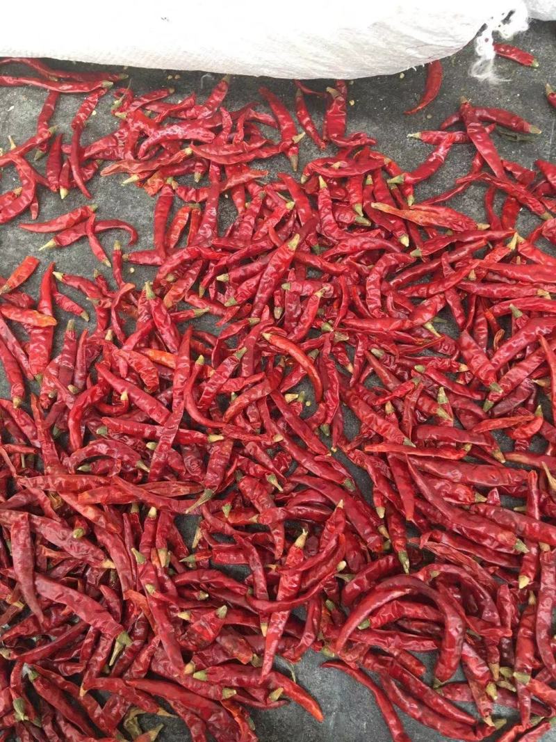 干辣椒魔鬼椒超辣魔鬼辣椒干变态辣辣椒粉辣椒面正宗印度魔鬼