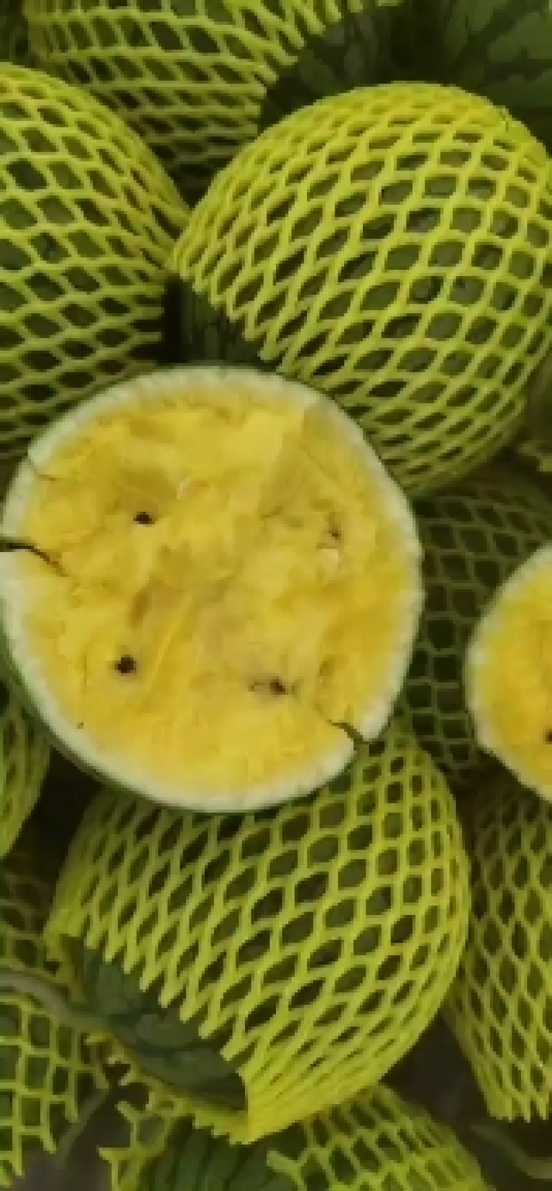 精品小兰西瓜特小凤西瓜质量保证品种纯正假一赔十
