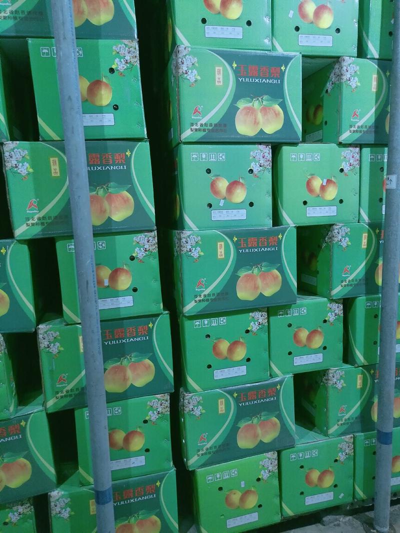 玉露香梨，皮薄汁多产地直发，价格便宜，可以视频看货