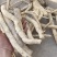 中药材炕货防风条子统货产地河南焦作
