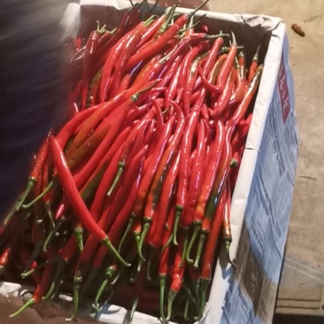大量供应精品红线