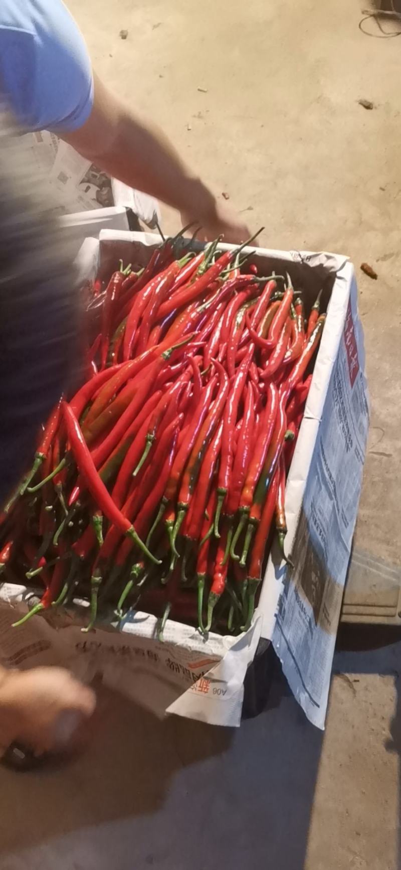 大量供应精品红线