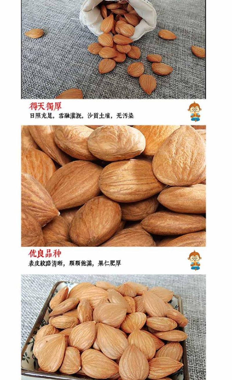 甜杏仁500g无壳原味生熟南杏仁承德杏仁坚果特产干果散装