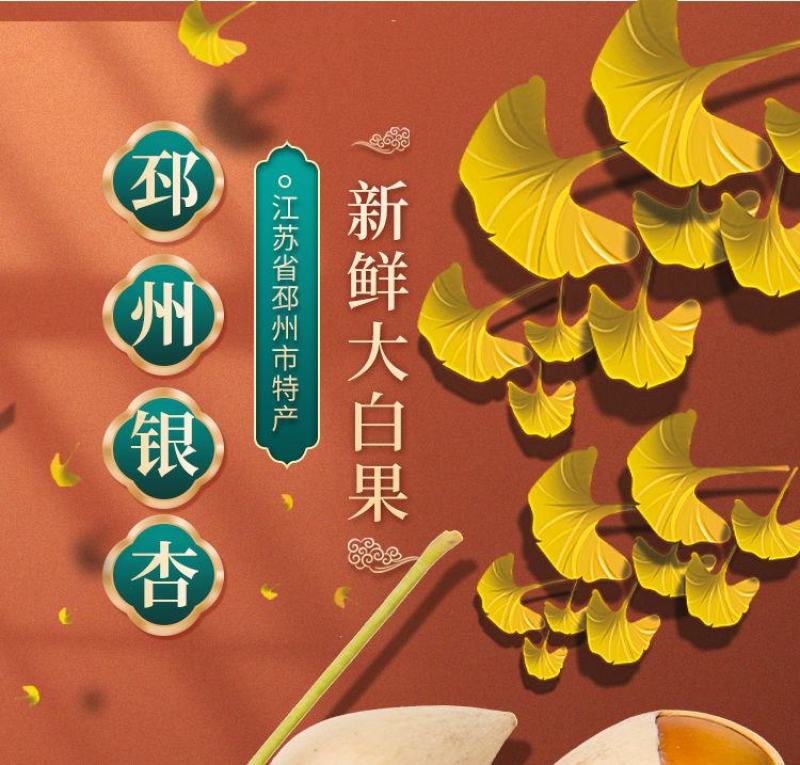 【一件代发】新鲜白果子银杏果生熟百果仁无漂白带壳白果包邮