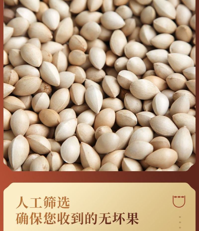 【一件代发】新鲜白果子银杏果生熟百果仁无漂白带壳白果包邮