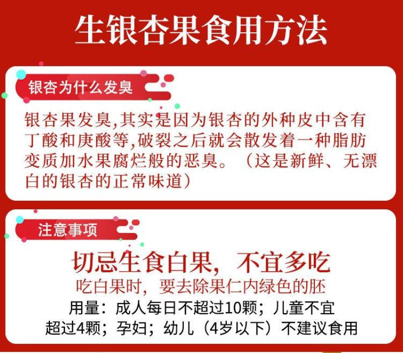 【一件代发】新鲜白果子银杏果生熟百果仁无漂白带壳白果包邮