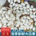 【一件代发】新鲜白果子银杏果生熟百果仁无漂白带壳白果包邮