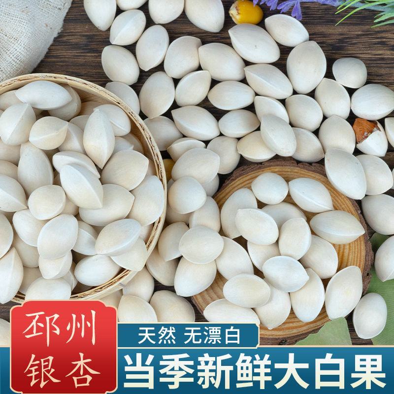 【一件代发】新鲜白果子银杏果生熟百果仁无漂白带壳白果包邮