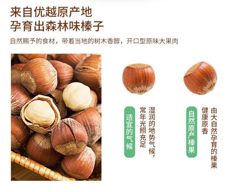 【一件代发】新货开口大榛子熟薄皮原味东北特产零食坚果包邮