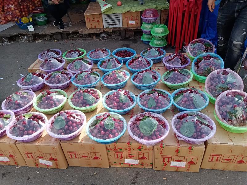 陕西澄城各种樱桃产地热销诚招客商超市采购电商商平台供应链