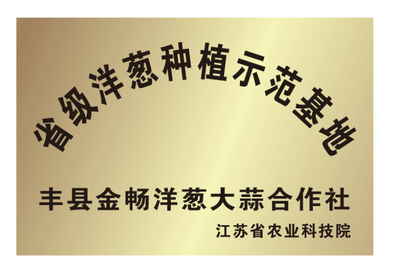 丰县洋葱大量上市，本公司主要从事标准化种植代购