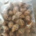 花螺，长尾香螺，无沙无嗅，适合烧烤档，餐厅，酒店，团购