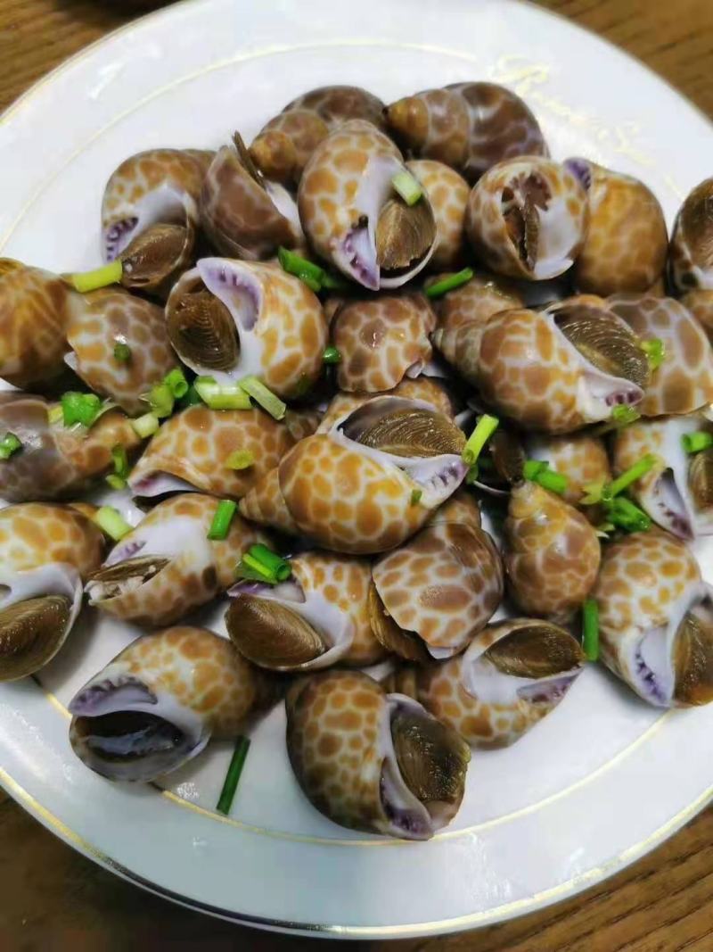 花螺，长尾香螺，无沙无嗅，适合烧烤档，餐厅，酒店，团购