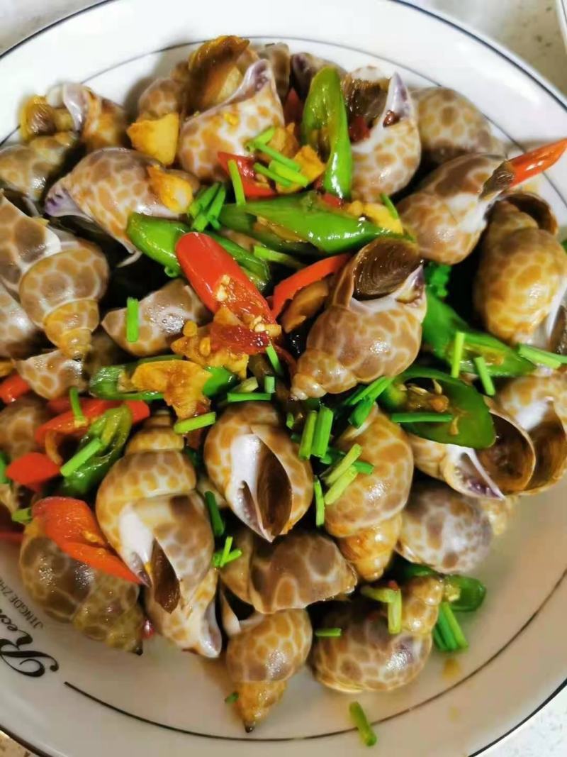 花螺，长尾香螺，无沙无嗅，适合烧烤档，餐厅，酒店，团购