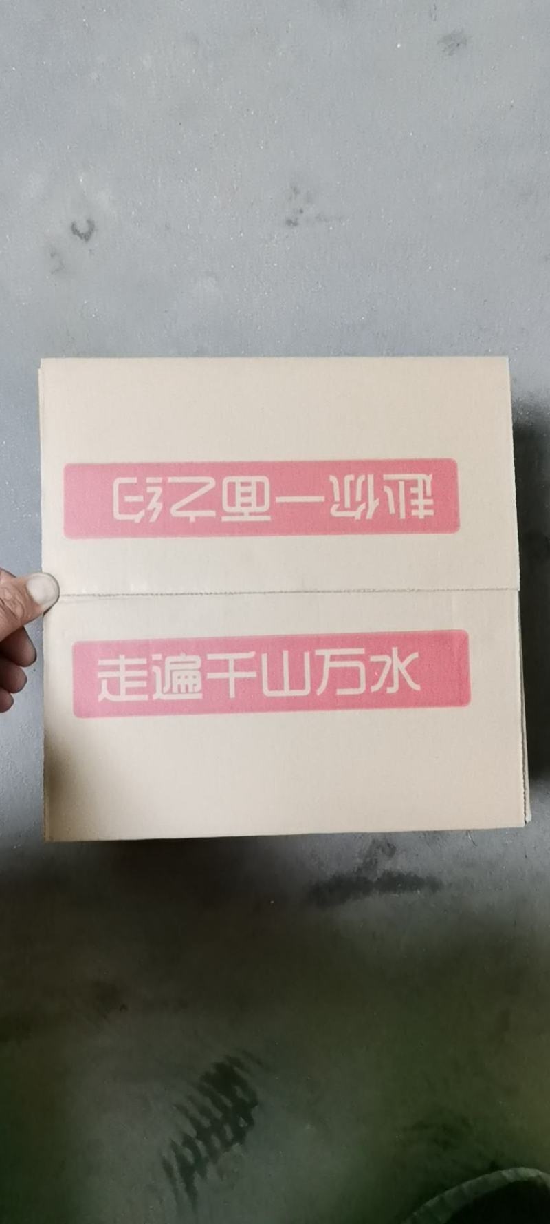 网状五号、绿宝、花豹、白皮、四季银红等，诚信赢天下