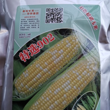 双色玉米
