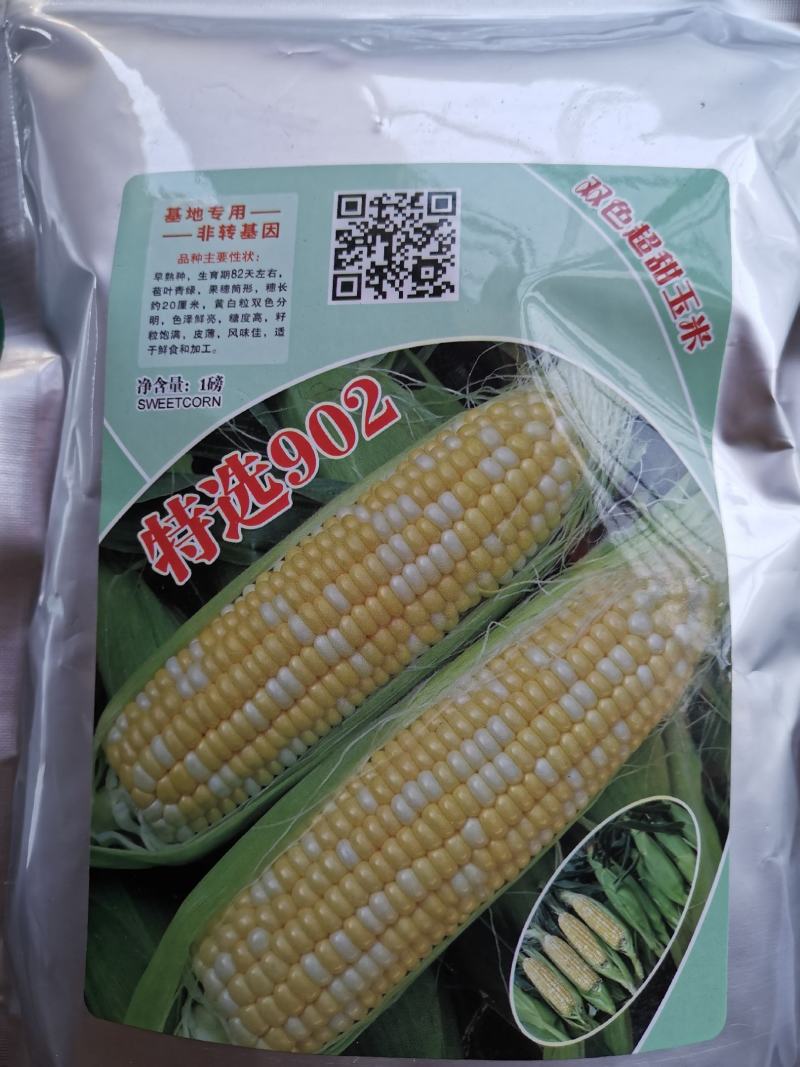 双色玉米