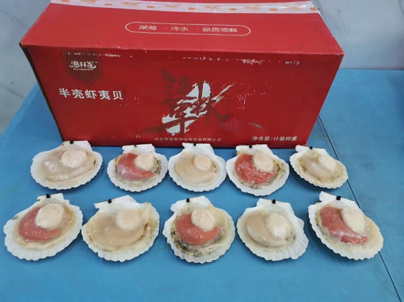 吊笼扇贝-肥而不软，不泡水不泡药，原汁原味的扇贝！