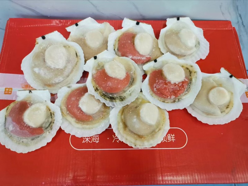 吊笼扇贝-肥而不软，不泡水不泡药，原汁原味的扇贝！