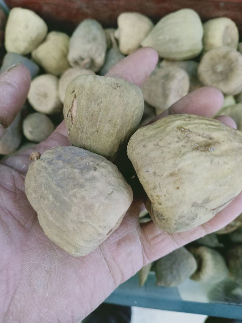 木馒头，乃母果凉粉果个，两半货质量保证，量大咨询价格！