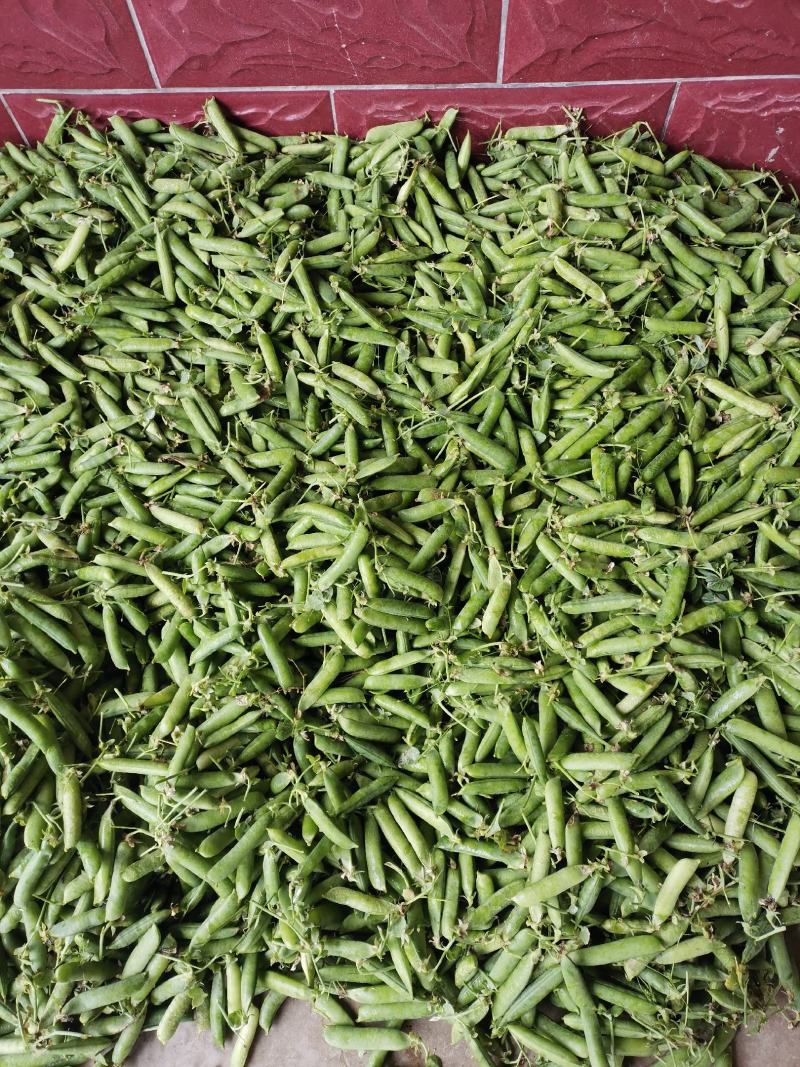 大角青豌豆和小角白豌豆，货源充足量大从优