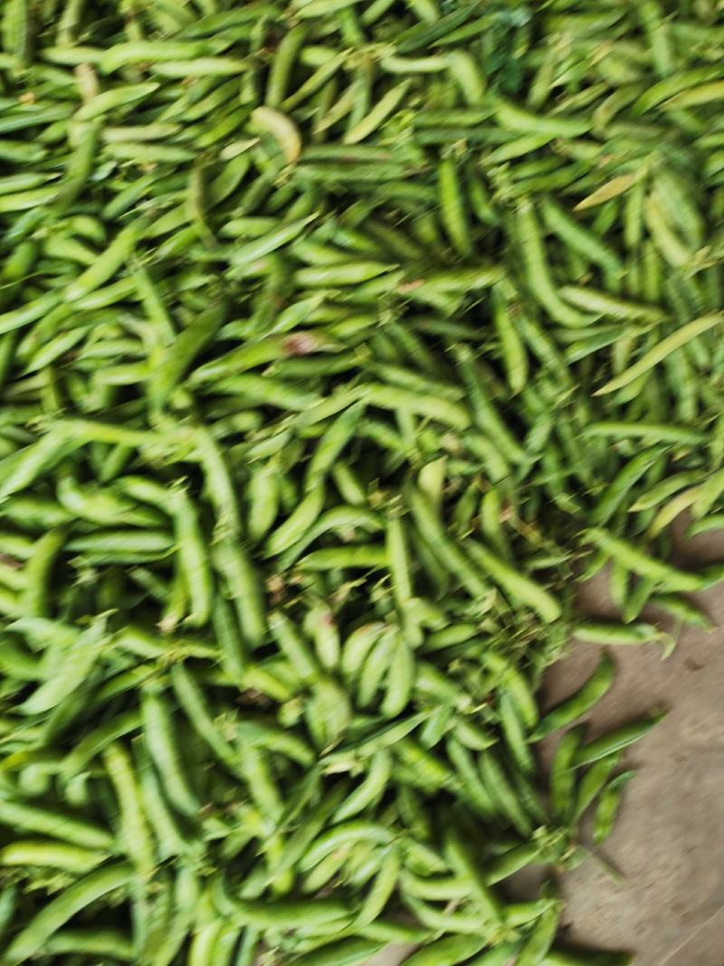 大角青豌豆和小角白豌豆，货源充足量大从优