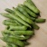 大角青豌豆和小角白豌豆，货源充足量大从优
