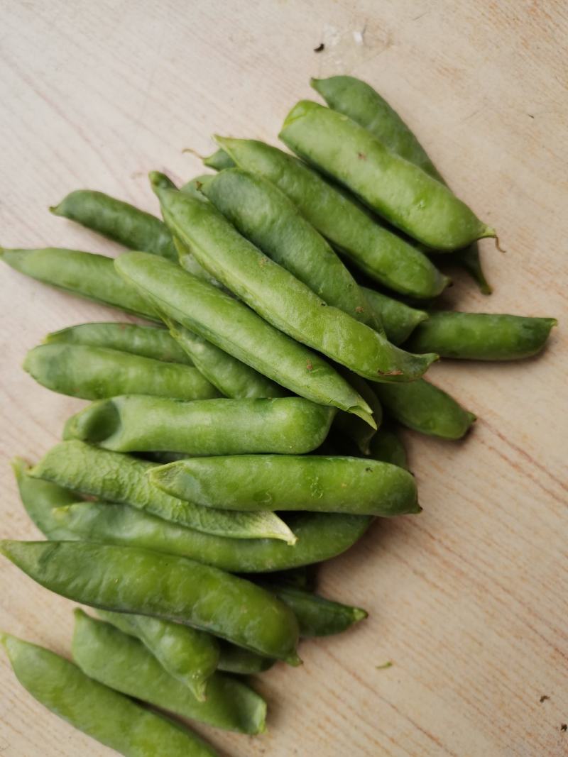 大角青豌豆和小角白豌豆，货源充足量大从优