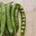 大角青豌豆和小角白豌豆，货源充足量大从优