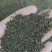 白花菜子，中药材白花菜子，经营各种中药材欢迎咨询合作！