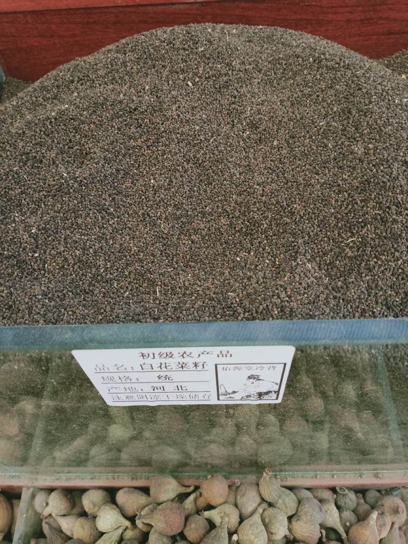 白花菜子，中药材白花菜子，经营各种中药材欢迎咨询合作！