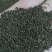 白花菜子，中药材白花菜子，经营各种中药材欢迎咨询合作！