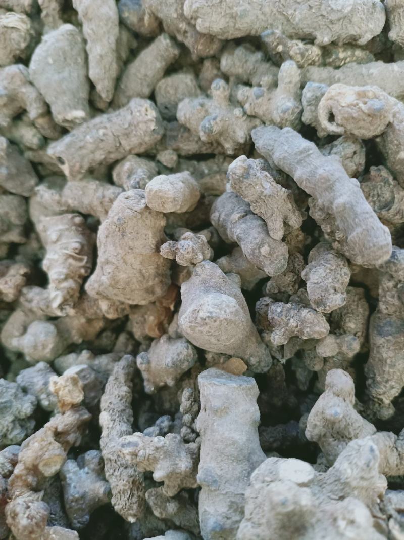 藤三七，藤三七根干货质量保证，欢迎咨询合作！