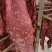 全熟麻辣大块肉五香大块肉无注水无加粉大块肉