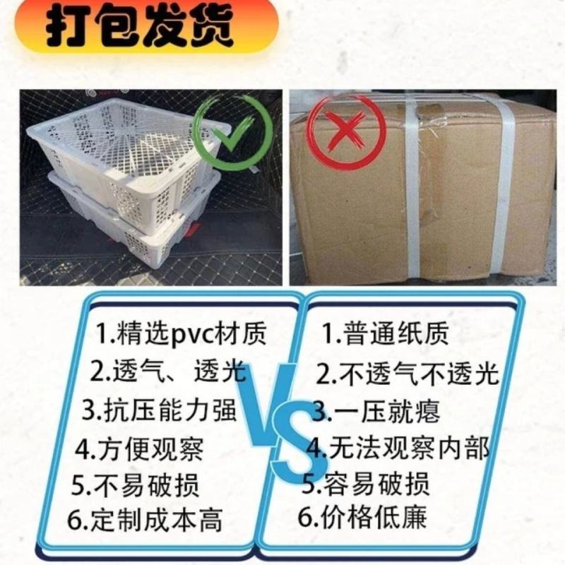脱温芦花鸡鸡芦花半大鸡土鸡下蛋芦花鸡肉活体包活到家